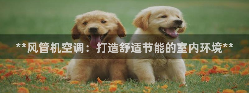 环球360网站最新官网下载