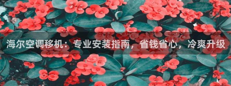 环球360合作包杀网一比一