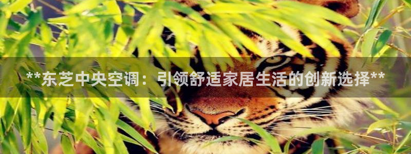 环球360手机版网址