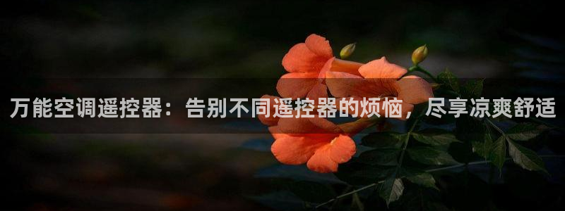 环球360网站最新官网地址查询