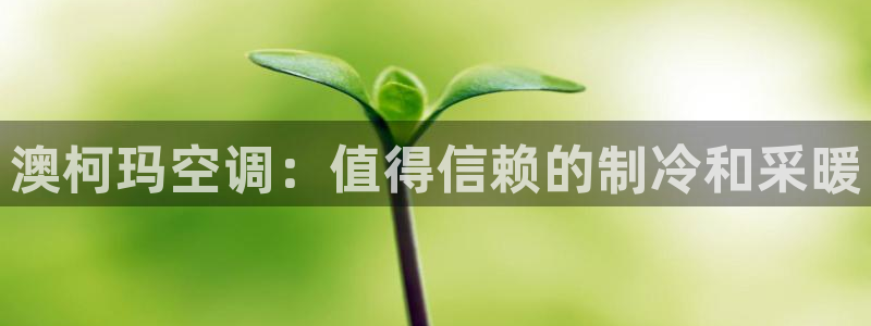 环球360官网入口网址