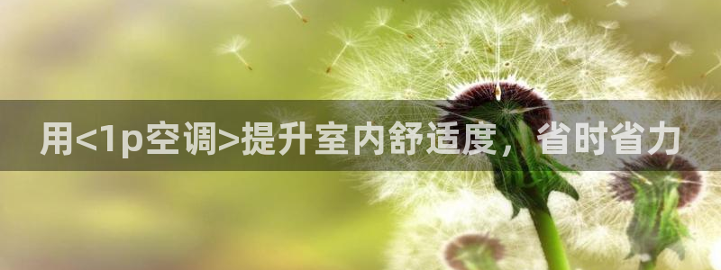 环球360官方网站首页