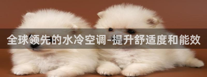 环球360管理网登录