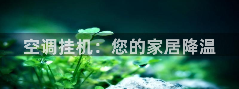 360环球管理