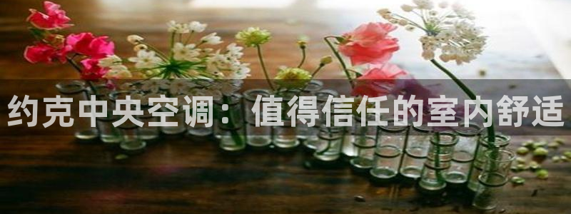 环球360网址加盟