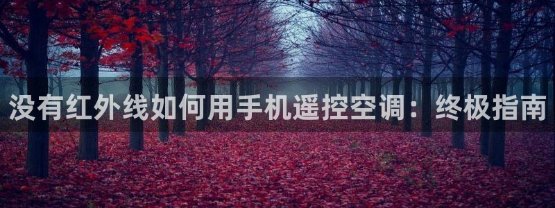 菲律宾环球360