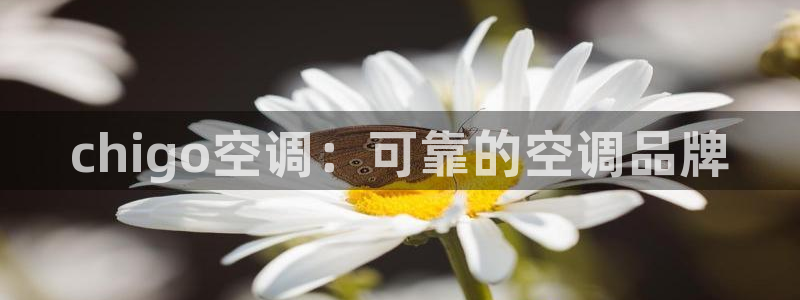 环球360官网会员登录不上