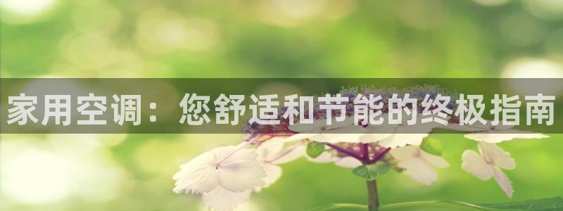 环球360放线