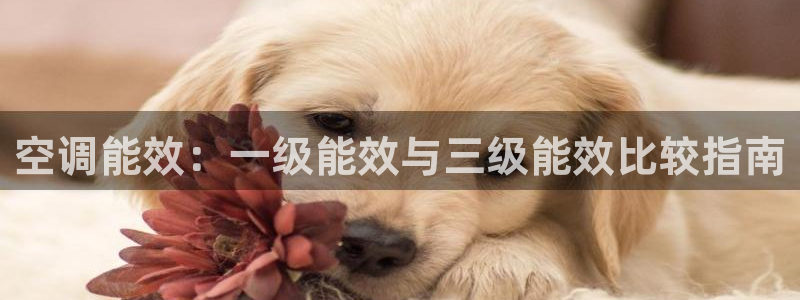 环球360官网手机版网址是多少