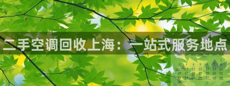 360环球国际官网