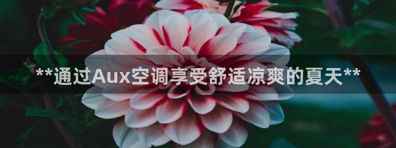 环球360的官网买分